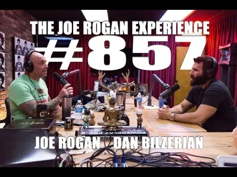 Dan Bilzerian, published photograph 2.
