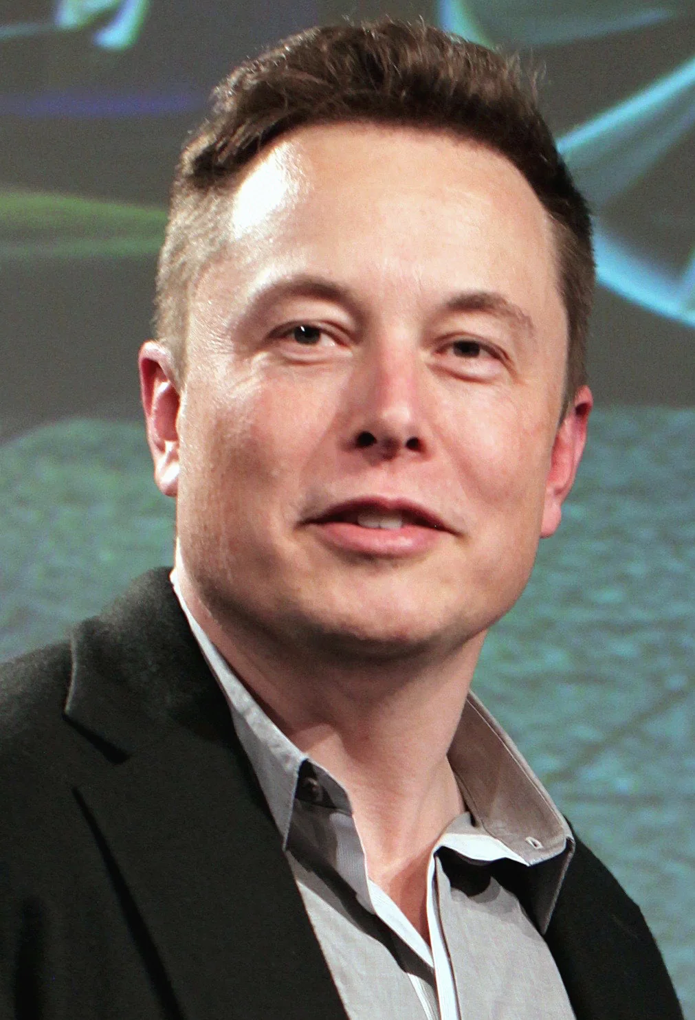 Elon Musk: Elon Musk 2015.